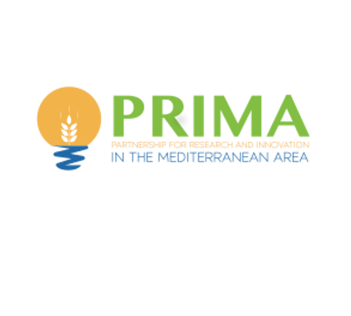 دعوة إلى PRIMA Infoday 2021 دعوة إلى PRIMA Infoday 2021