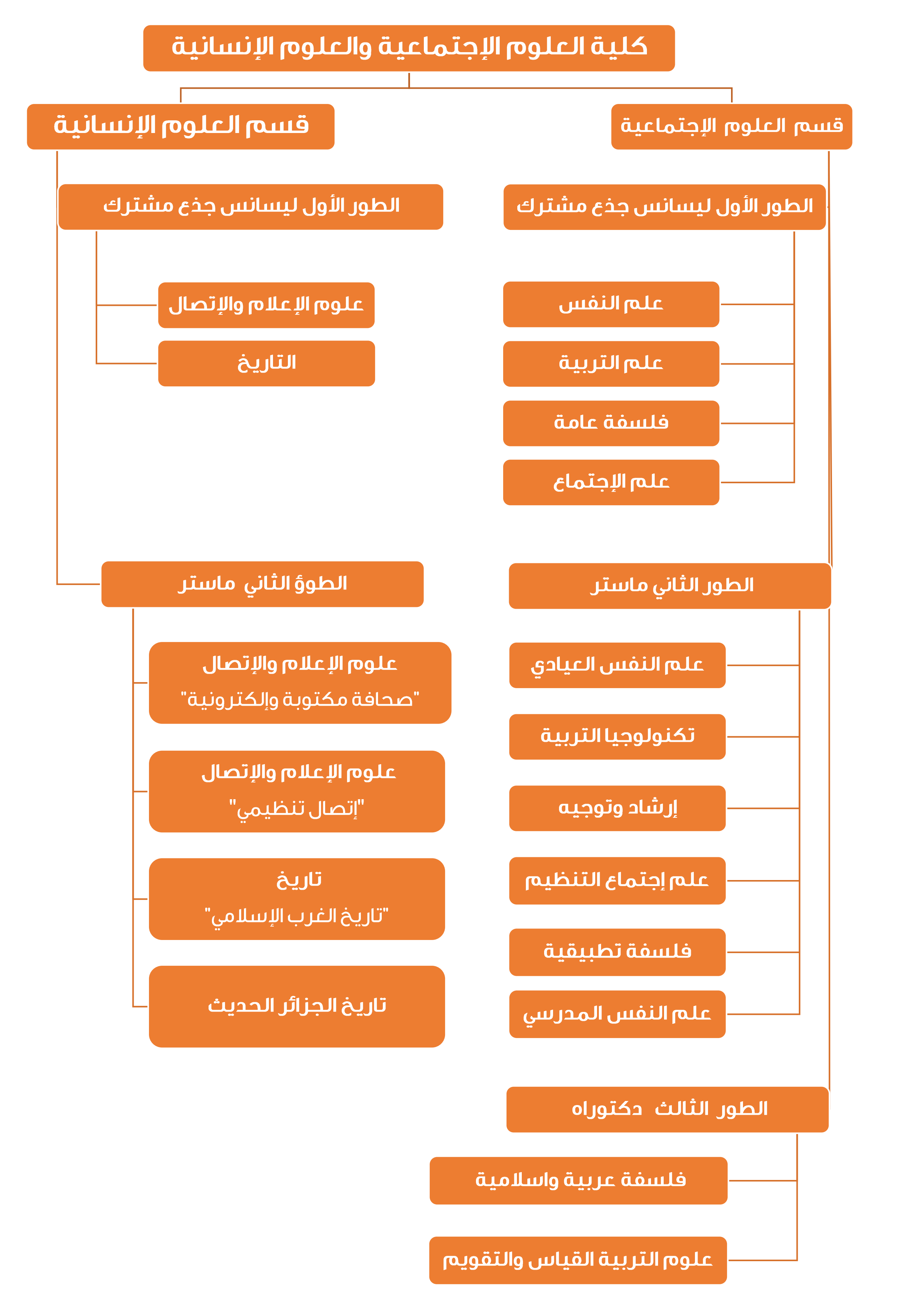 تخصصات العلوم الانسانية