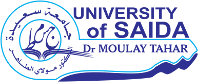 Vice-Chancellor of the University in charge of higher education in the first and second stages, continuous training and certificates, as well as higher education in the graduate phase - University Moulay Tahar of Saida