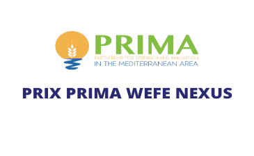 Appel à candidature Prix PRIMA WEFE NEXUS Appel à candidature Prix PRIMA WEFE NEXUS