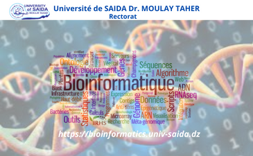 Création d’un site web Bioinformatics