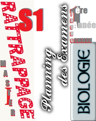 Planning des examens de Rattrapage                      L1    et    Master I            S1          2020-2021