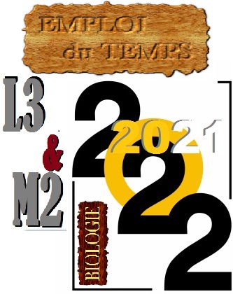 Emploi du Temps                                                         L3 & M2          S1       2021- 2022