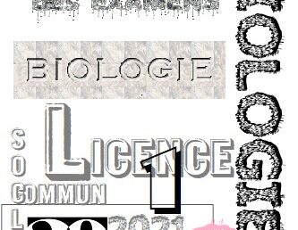 Examens L2 Socle COMMUN S2 2021-2022