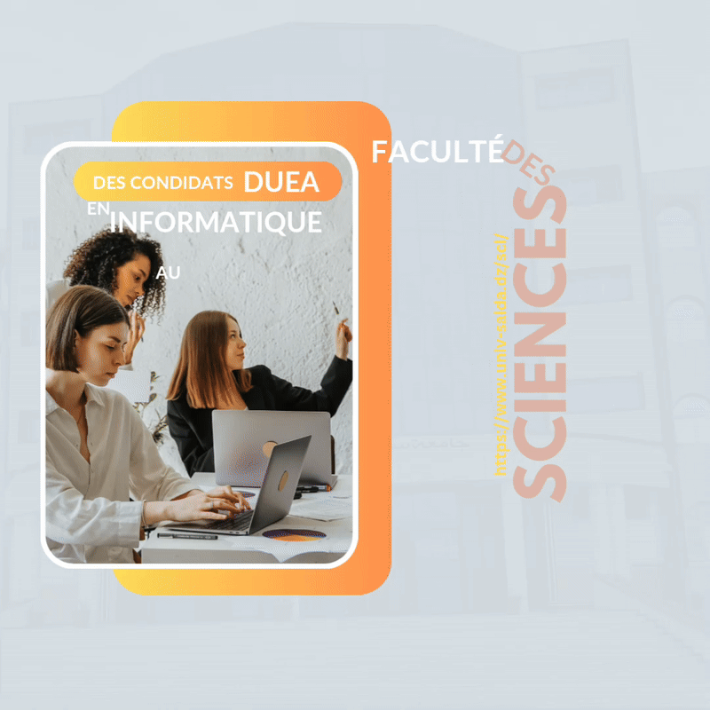 ORIENTATION Candidats DEUA  en Informatique   vers la spécialité:  ➡Systèmes Informatiques⬅
