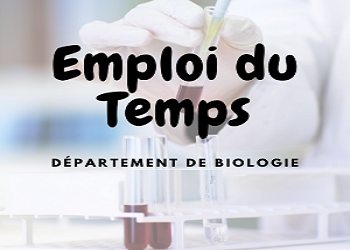 Emploi du temps final Année Universitaire 2024/2025