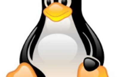 Deux Journées Scientifiques sur Linux et logiciels libres (du 28 au 29 Mars 2022)